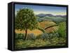 Tuscan Hilltop Village, 1990-Liz Wright-Framed Stretched Canvas