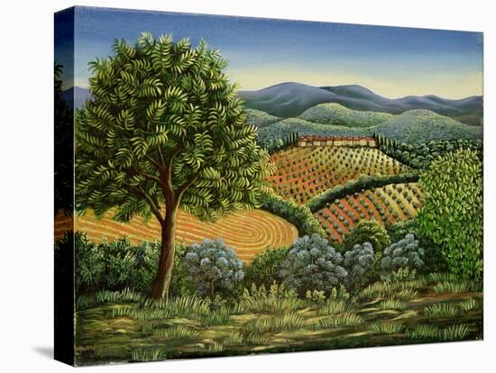 Tuscan Hilltop Village, 1990-Liz Wright-Stretched Canvas