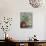 Tuscan Jug-Karen Armitage-Giclee Print displayed on a wall