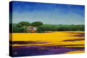 Tuscan Landcape, 2010-Trevor Neal-Stretched Canvas