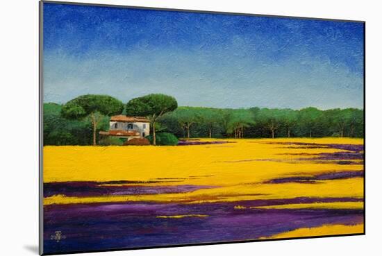 Tuscan Landcape, 2010-Trevor Neal-Mounted Giclee Print