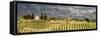 Tuscan landscape under thunder clouds. Farmhouse with vineyard. Tuscany, Italy.-Tom Norring-Framed Stretched Canvas