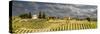 Tuscan landscape under thunder clouds. Farmhouse with vineyard. Tuscany, Italy.-Tom Norring-Stretched Canvas