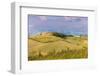 Tuscan landscape with vineyards and olive groves. Tuscany, Italy.-Tom Norring-Framed Photographic Print