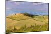 Tuscan landscape with vineyards and olive groves. Tuscany, Italy.-Tom Norring-Mounted Photographic Print