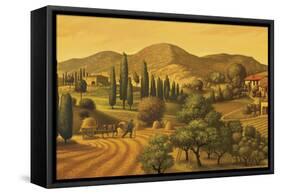 Tuscan Landscape-Dan Craig-Framed Stretched Canvas
