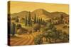 Tuscan Landscape-Dan Craig-Stretched Canvas