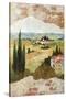 Tuscan Landscape-null-Stretched Canvas