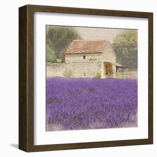 Tuscan Lavender-Bret Staehling-Framed Art Print