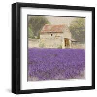 Tuscan Lavender-Bret Staehling-Framed Art Print