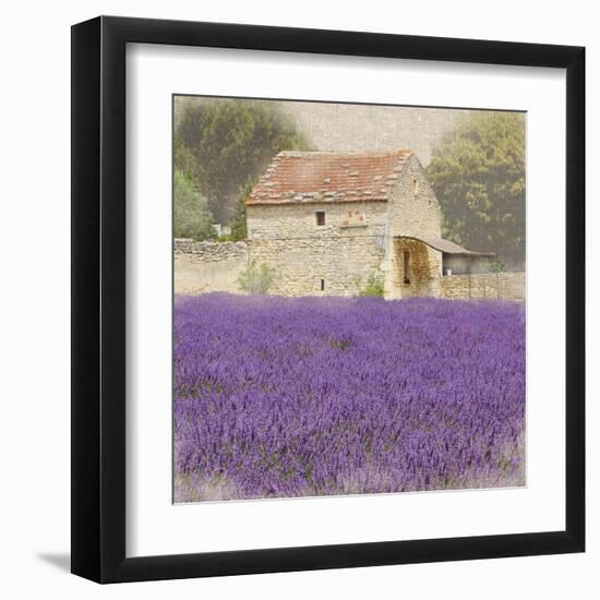 Tuscan Lavender-Bret Staehling-Framed Art Print