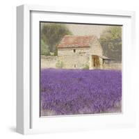 Tuscan Lavender-Bret Staehling-Framed Art Print