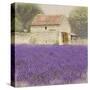 Tuscan Lavender-Bret Staehling-Stretched Canvas