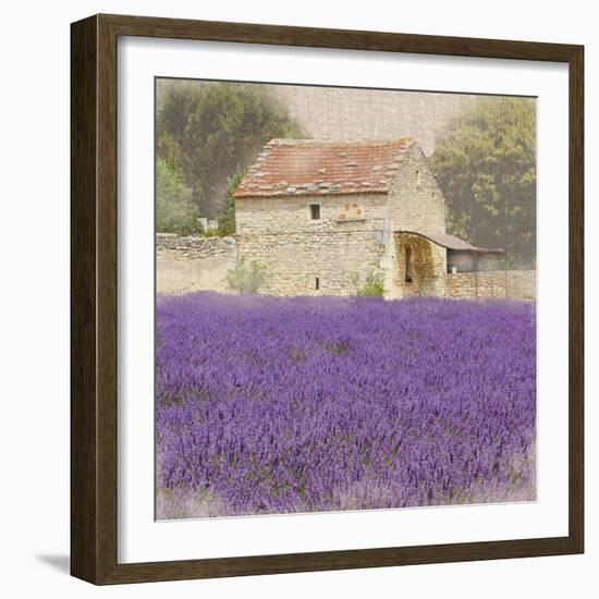 Tuscan Lavender-Bret Staehling-Framed Art Print