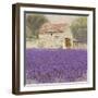 Tuscan Lavender-Bret Staehling-Framed Art Print