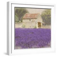 Tuscan Lavender-Bret Staehling-Framed Art Print