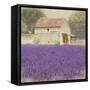 Tuscan Lavender-Bret Staehling-Framed Stretched Canvas