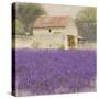 Tuscan Lavender-Bret Staehling-Stretched Canvas