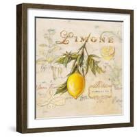 Tuscan Lemon-Angela Staehling-Framed Art Print