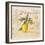 Tuscan Lemon-Angela Staehling-Framed Art Print