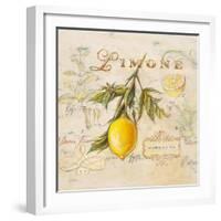 Tuscan Lemon-Angela Staehling-Framed Art Print