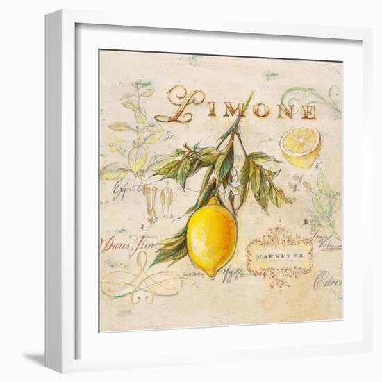 Tuscan Lemon-Angela Staehling-Framed Art Print