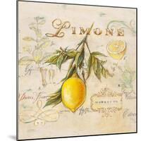 Tuscan Lemon-Angela Staehling-Mounted Art Print