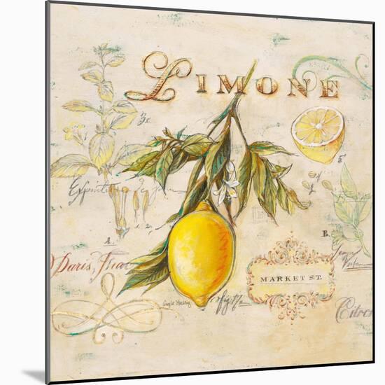 Tuscan Lemon-Angela Staehling-Mounted Art Print