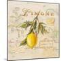 Tuscan Lemon-Angela Staehling-Mounted Art Print