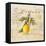 Tuscan Lemon-Angela Staehling-Framed Stretched Canvas