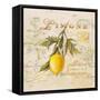 Tuscan Lemon-Angela Staehling-Framed Stretched Canvas