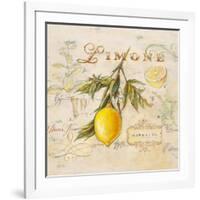 Tuscan Lemon-Angela Staehling-Framed Art Print