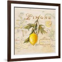 Tuscan Lemon-Angela Staehling-Framed Art Print