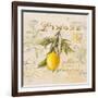 Tuscan Lemon-Angela Staehling-Framed Art Print