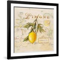 Tuscan Lemon-Angela Staehling-Framed Art Print