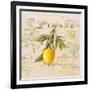 Tuscan Lemon-Angela Staehling-Framed Art Print