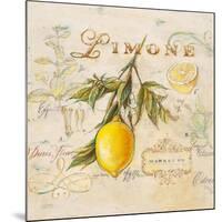 Tuscan Lemon-Angela Staehling-Mounted Art Print