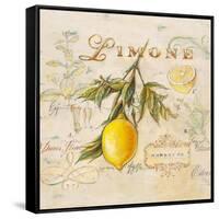 Tuscan Lemon-Angela Staehling-Framed Stretched Canvas