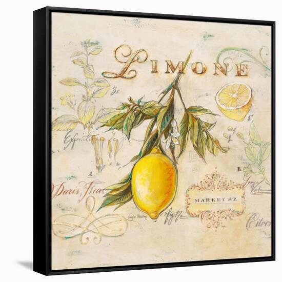 Tuscan Lemon-Angela Staehling-Framed Stretched Canvas