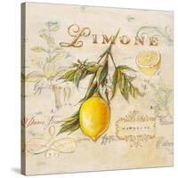 Tuscan Lemon-Angela Staehling-Stretched Canvas
