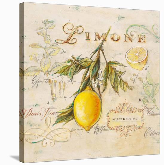 Tuscan Lemon-Angela Staehling-Stretched Canvas