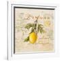 Tuscan Lemon-Angela Staehling-Framed Art Print