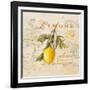 Tuscan Lemon-Angela Staehling-Framed Art Print