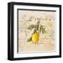 Tuscan Lemon-Angela Staehling-Framed Art Print