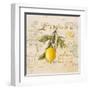 Tuscan Lemon-Angela Staehling-Framed Art Print