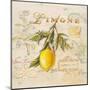 Tuscan Lemon-Angela Staehling-Mounted Art Print