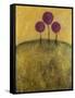 Tuscan Lollipops-Christy Ann-Framed Stretched Canvas