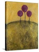 Tuscan Lollipops-Christy Ann-Stretched Canvas