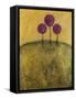 Tuscan Lollipops-Christy Ann-Framed Stretched Canvas