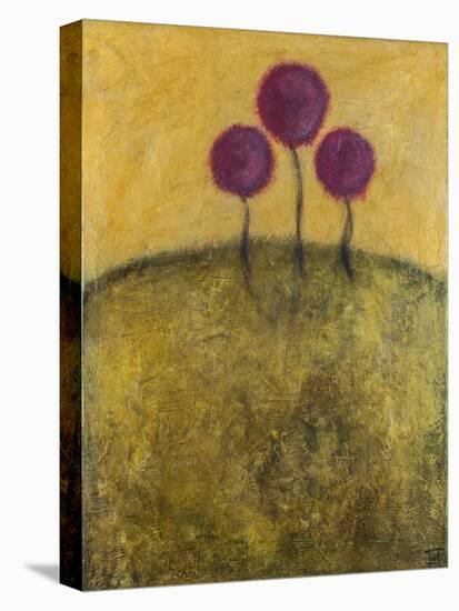 Tuscan Lollipops-Christy Ann-Stretched Canvas